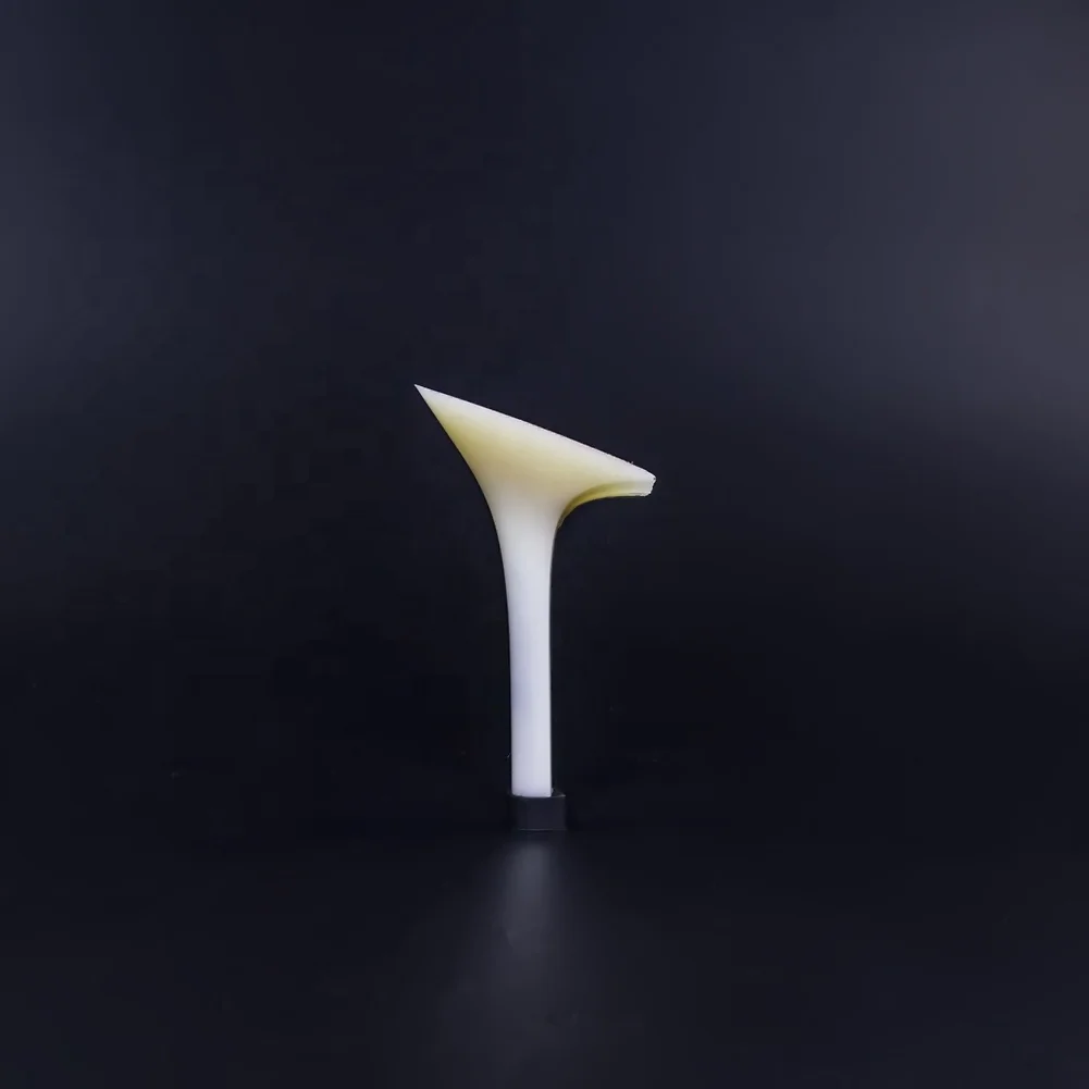 
High Quality Abs Shoe Heel Ladies 