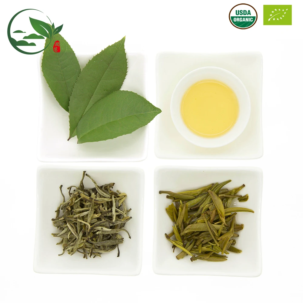 Guangzhou Certified Organic Lovely Concentrated Dried Jasmine Yinhao Green Tea Curled Leaves Dragon Phoenix Pearl Pearls in Bulk