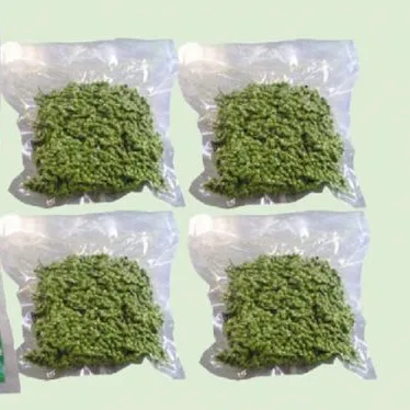 
Good price wholesale hand picked Sichuan green pepper 