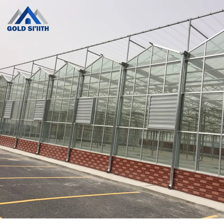 Chinese Farm used Venol Type Glass Greenhouse with Hydroponic System