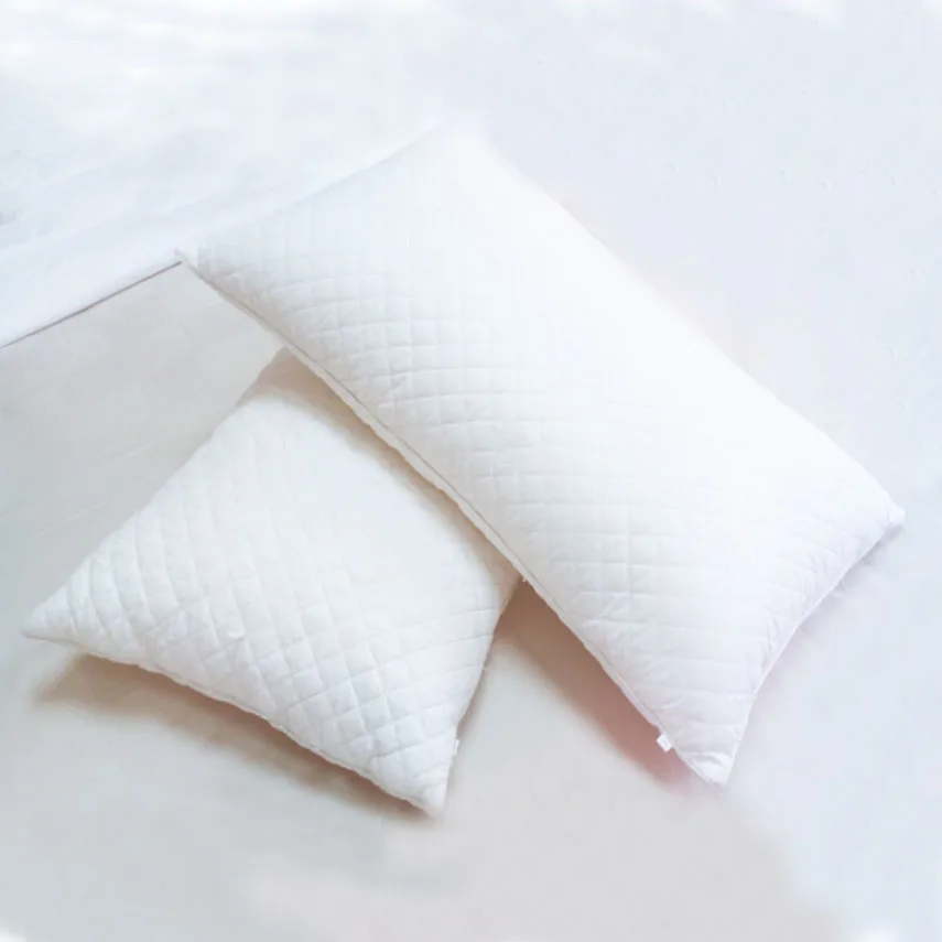 Wholesale hotel supply high quality goose down feather proof soft pillow insert