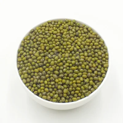 High Germination Rate Common Cultivation Sprouting Green Mung Beans