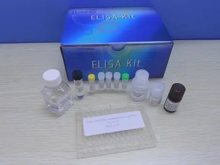 Biobase Manual Operation 96T Micro plate Elisa reagent kit AMH anti-Mullerian hormone for human serum