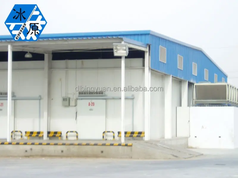 
cold warehouse/cold room/cold storage container for meat or vegetables 