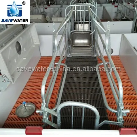 pig drinkers and feeders feeding troughs feeders for pigs swine