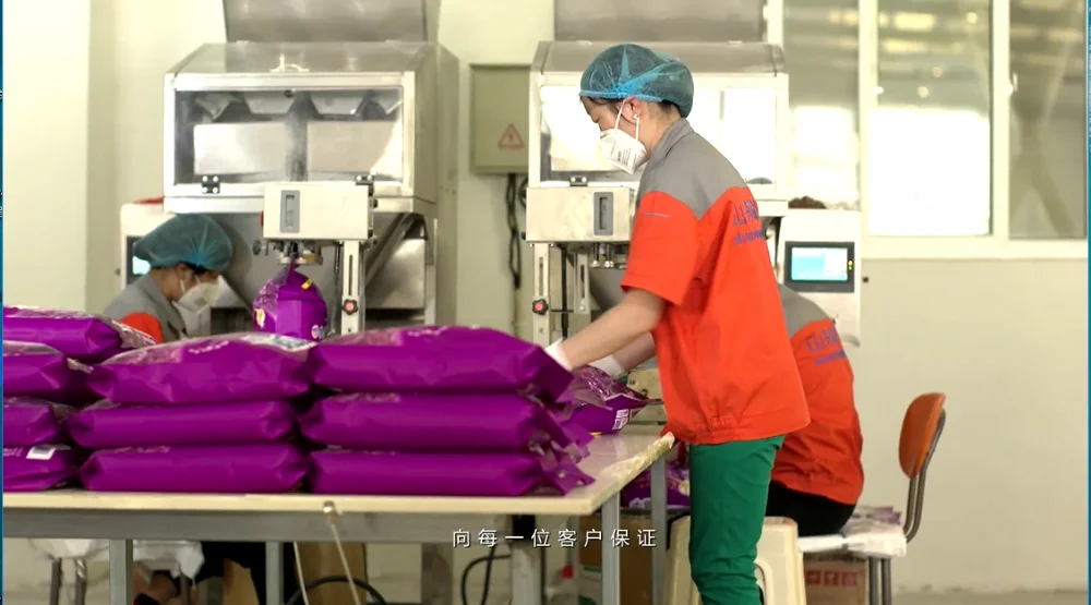 HOT SALE Washing Detergent Powder Cheap Laundry Washing Powder foaming powder 558g