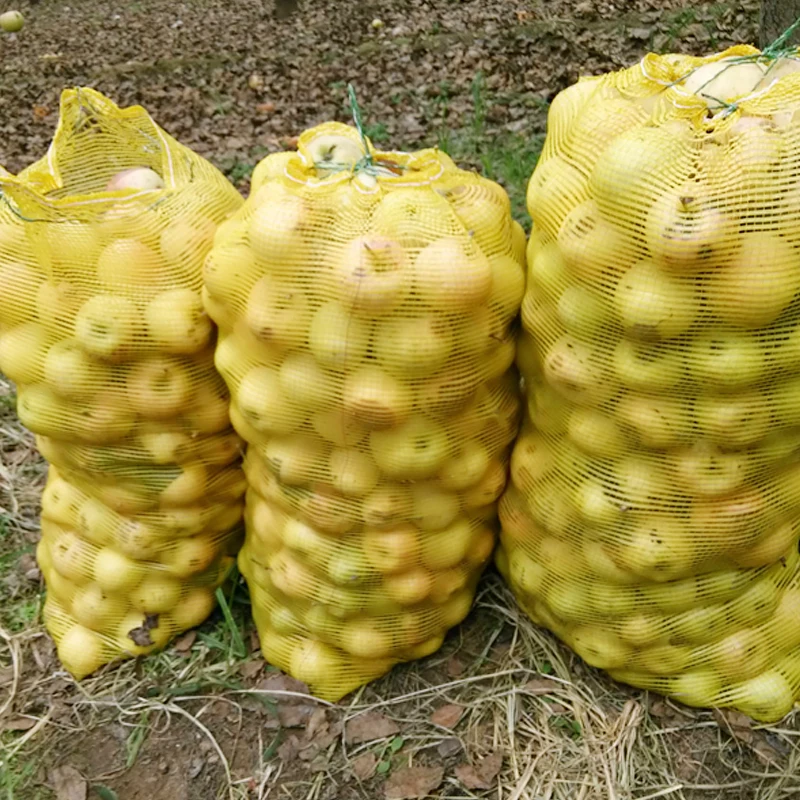 
Stocked PE/PP hot sale good quality leno raschel mesh bags packing onion potato 