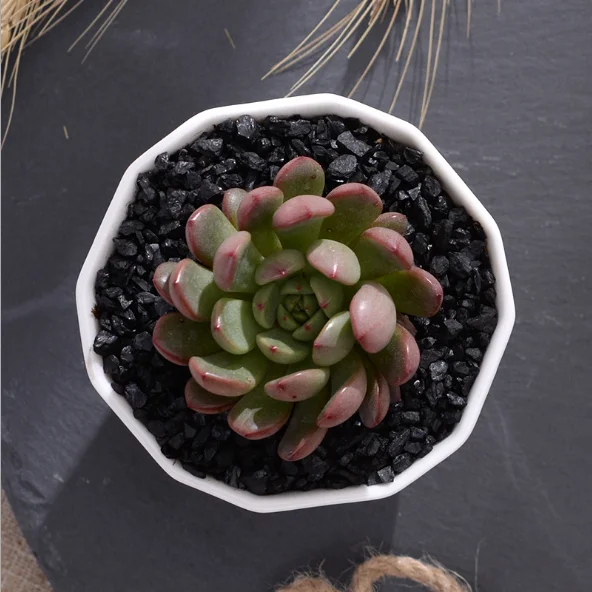 Indoor Garden Kit Plant Pots for Flower Vegetable Seeds Best Friend gifts