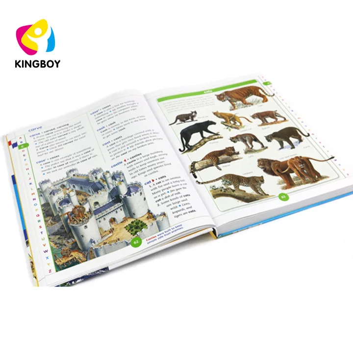 Детская доска, книга для чтения, звуковая книга, словарь