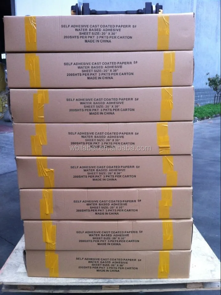 PP Film Sticker Film