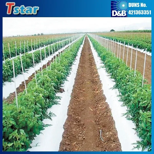 Высокопрочные Пултрузионные Твердые Стекловолоконные колья для виноградников