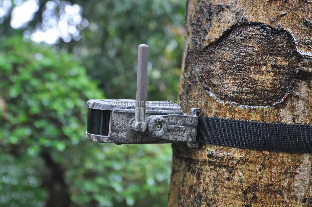 wireless hunting alert 300m SY-007plus 1+5  bestguarder