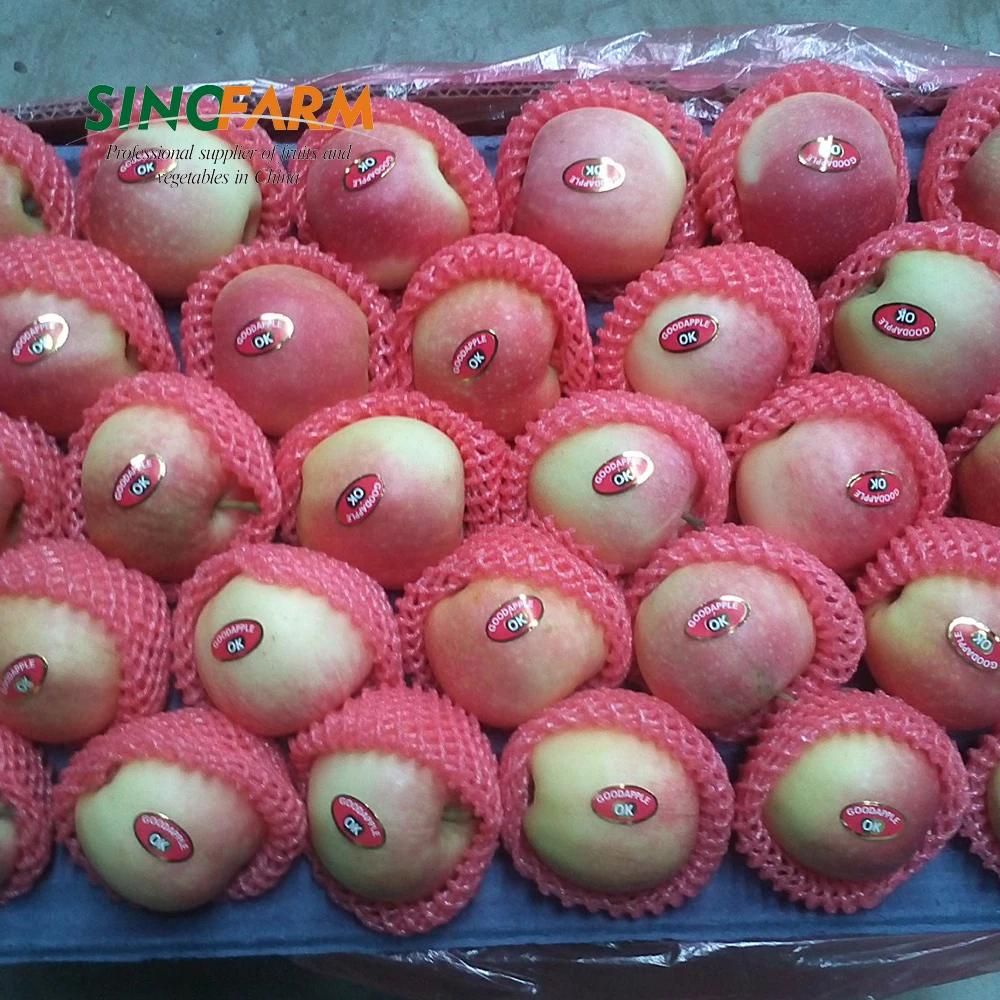 China Fresh Pink Gala Apples With Lower Price