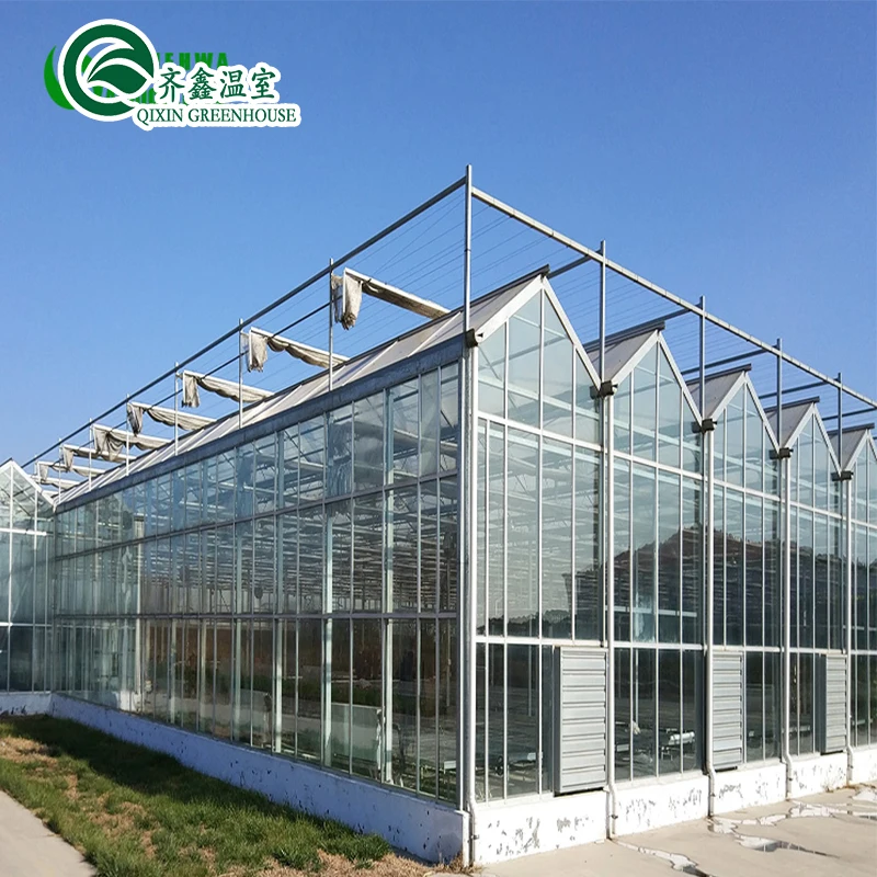 25 Years Quality Guarantee Galvanized Steel Structure For Glass Greenhouse
