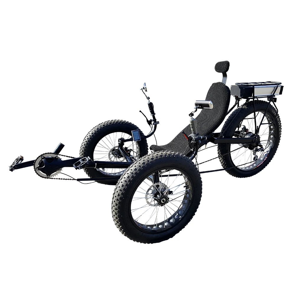
China Recumbent Trike Electric 3 Wheels Lay Down Velo Fat Bikes for Adults Old People 