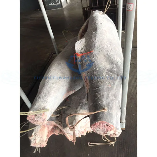 Hot sale HGT black marlin fish frozen marlin tuna