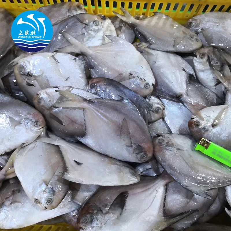 Замороженная Белая Помада свежая рыба