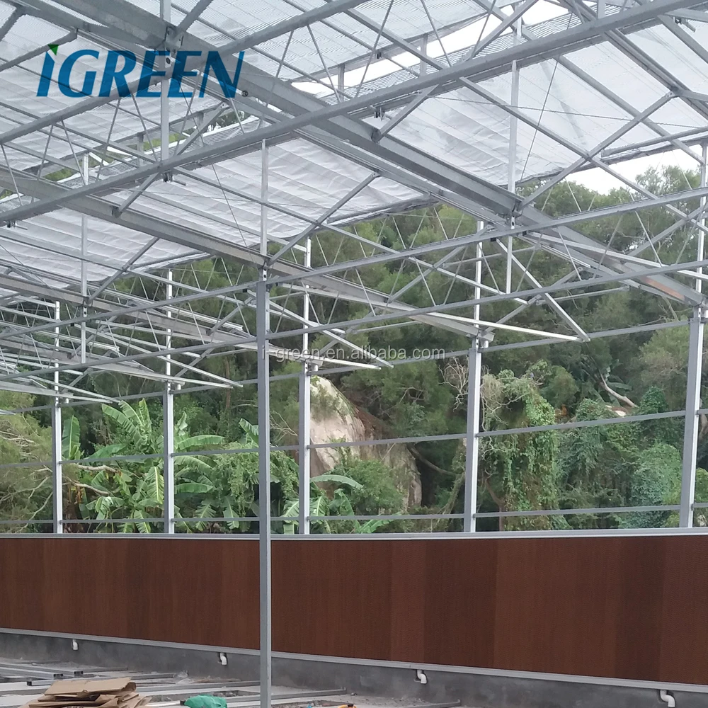 Multi span polycarbonate greenhouse pc greenhouse structure