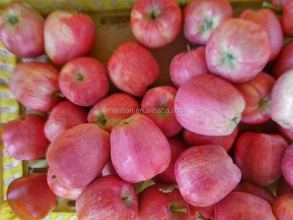  2017 свежие яблоки с красной звездой