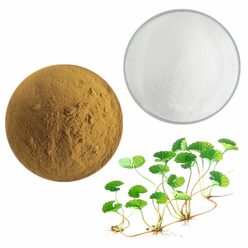 organic skin care cosmetic grade centella asiatica powder extract 80% Asiaticosides cosmetics makeup gotu kola extract