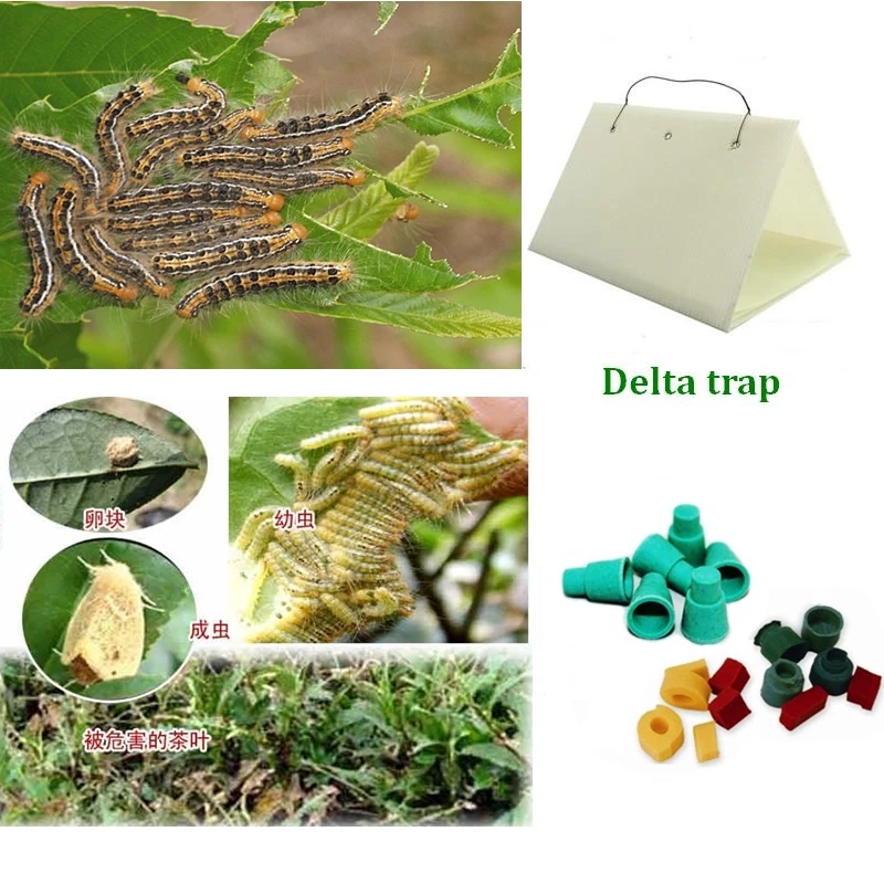 Euproctis pseudoconspersa приманка для насекомых феромона, ловушки для вредителей для защиты чайного дерева