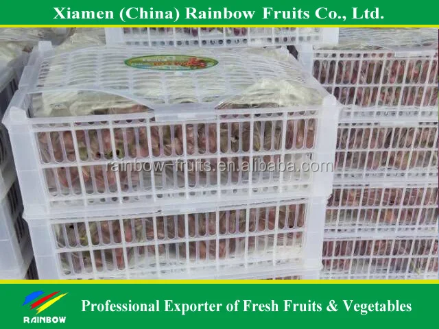 
Fresh grapes china with top quality 