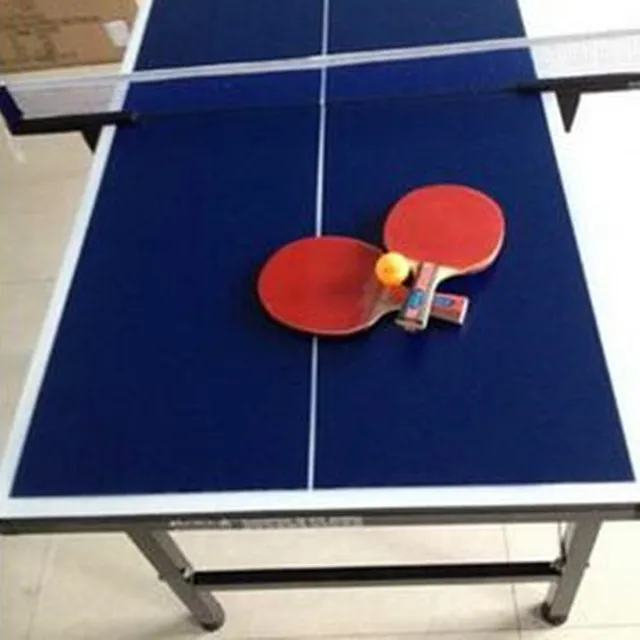
custom mini table tennis table 