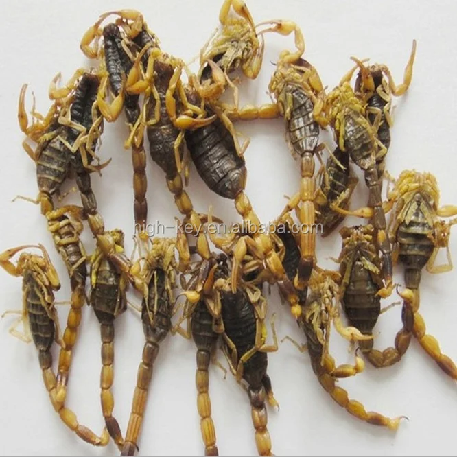 
10016 quan xie chinese medicine herb whole scorpion 