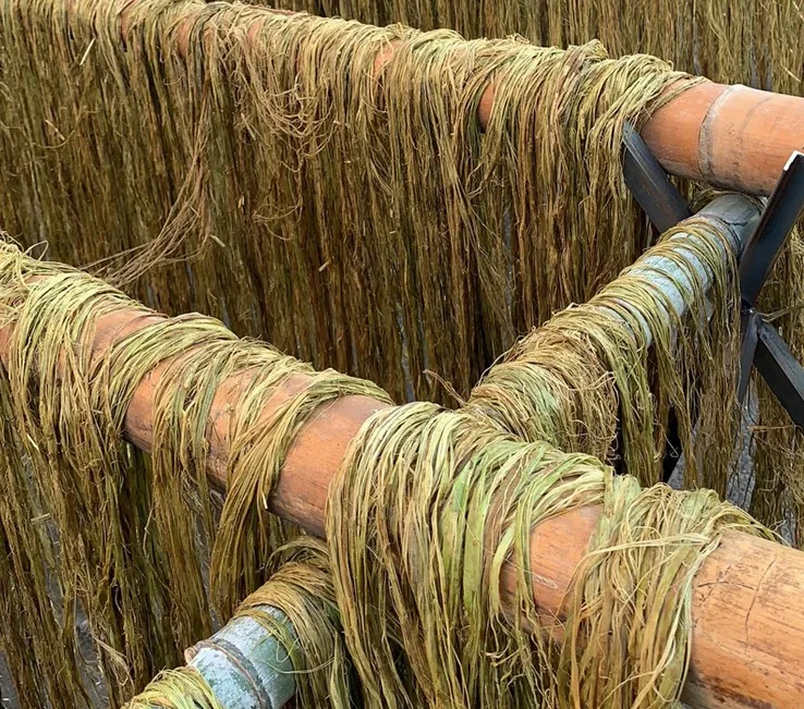 wholesale price 2T/h agricultural fibers automatic sisal hemp extracting machine