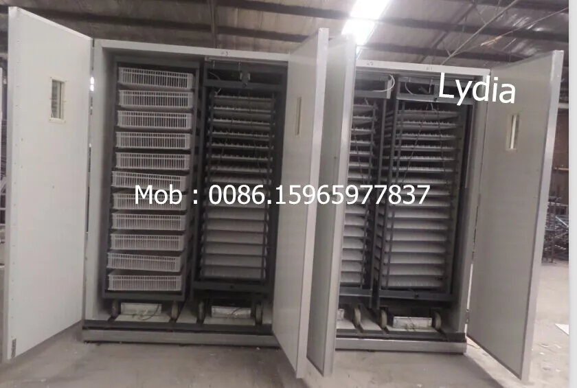 poultry egg incubator 20000 incubator, 19712 chicken egg incubator (Whatsapp: +8615965977837)