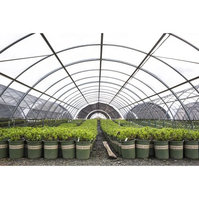 indoor vertical hydroponic systems gutter connect Poly film cover metal greenhouse tower garden vertical farming