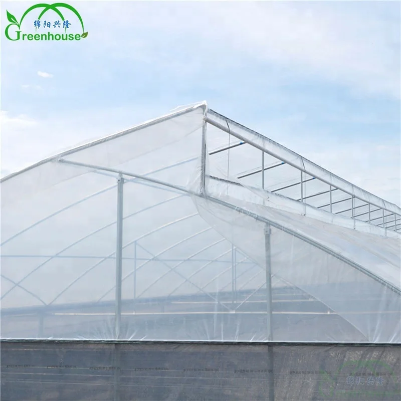 XL Multi-span Greenhouse With Hydroponic Growing Systems