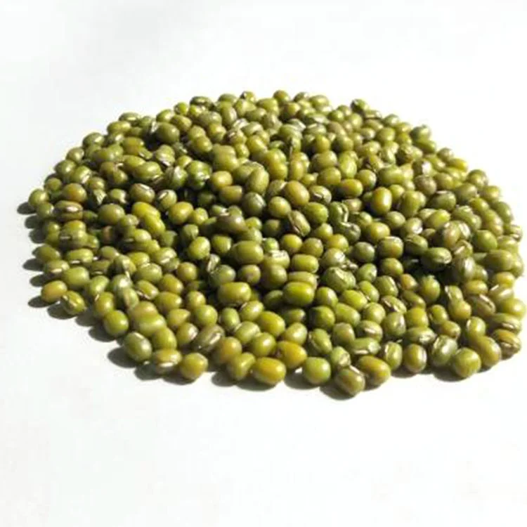 
Factory supply high quality green mung beans with competitive price  (62140860724)