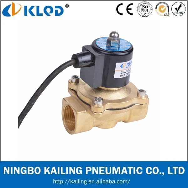 2W160 Series 2Inch 2/2 Way Direct Acting Electronic Flow Control Solenoid Water Valve