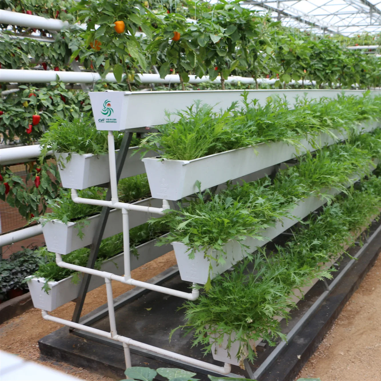 Venlo Type Double Layer Glass Greenhouse with Hydroponic System for Agriculture/Tourism Planting/Strawberry Picking Tourism