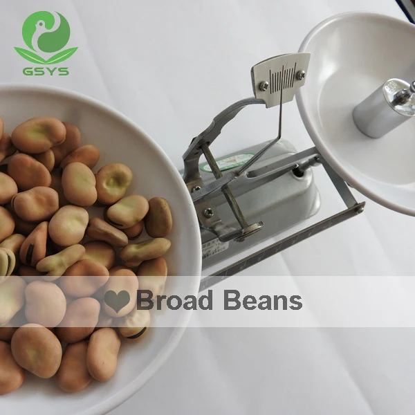 Qinghai Fava Beans Broad Beans