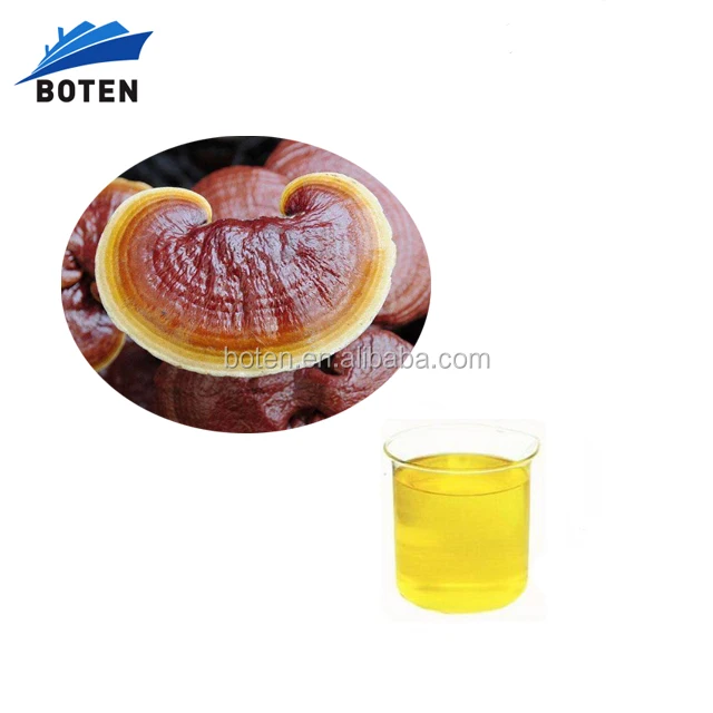 100% Pure Reishi spore Oil, Ganoderma Lucidum Spores Oil Reishi mushroom oil