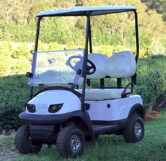 Single seat mini electric golf cart