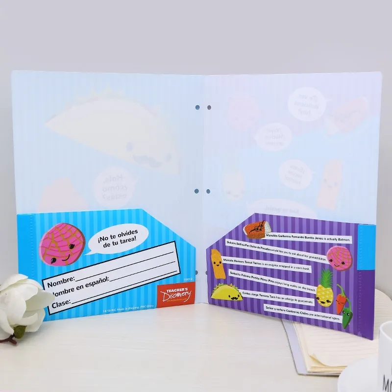 Оптовая продажа, индивидуальный двойной карманный поли-портфель и папка A4/пластиковая прозрачная папка для файлов