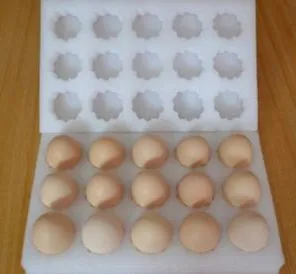 EPE foam egg shake-proof protector