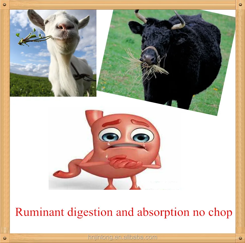 
Buy Aspergillus Oryzae And Trichoderma Viride 