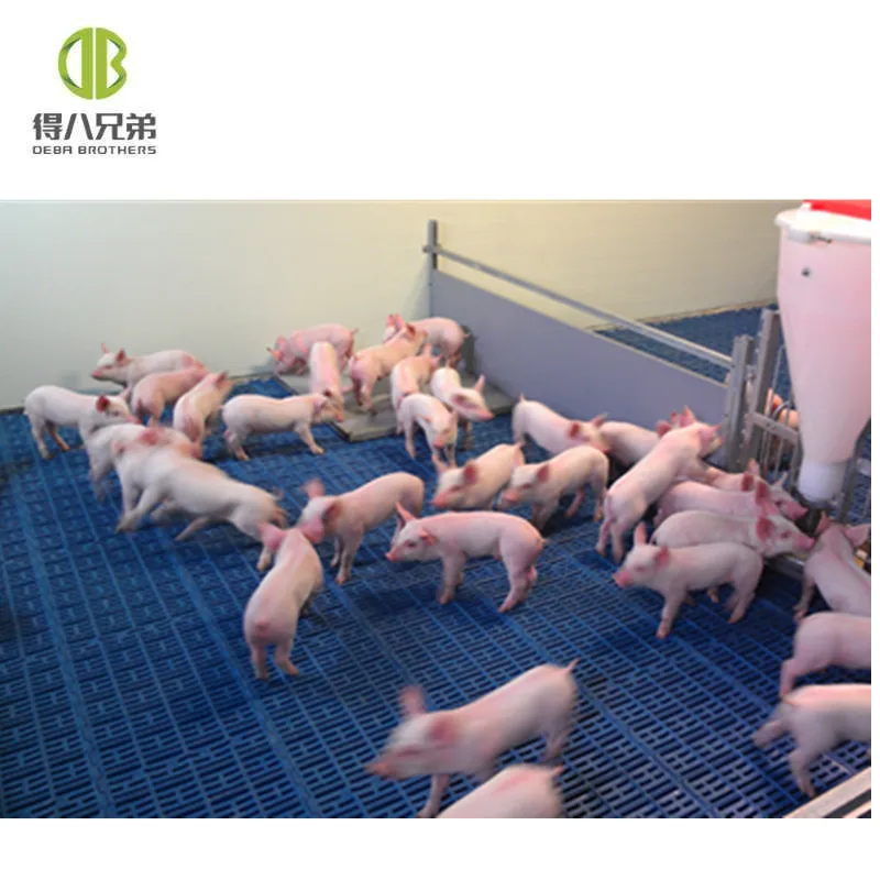 pvc panel weaning crates popular warm keeping pig nursery crates