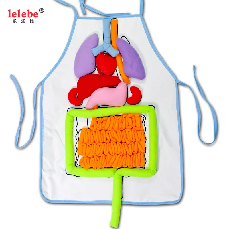 
Children early educational toy 2020 montessori Preschool body organ Teaching aids apron kids training aids baby educational toys 