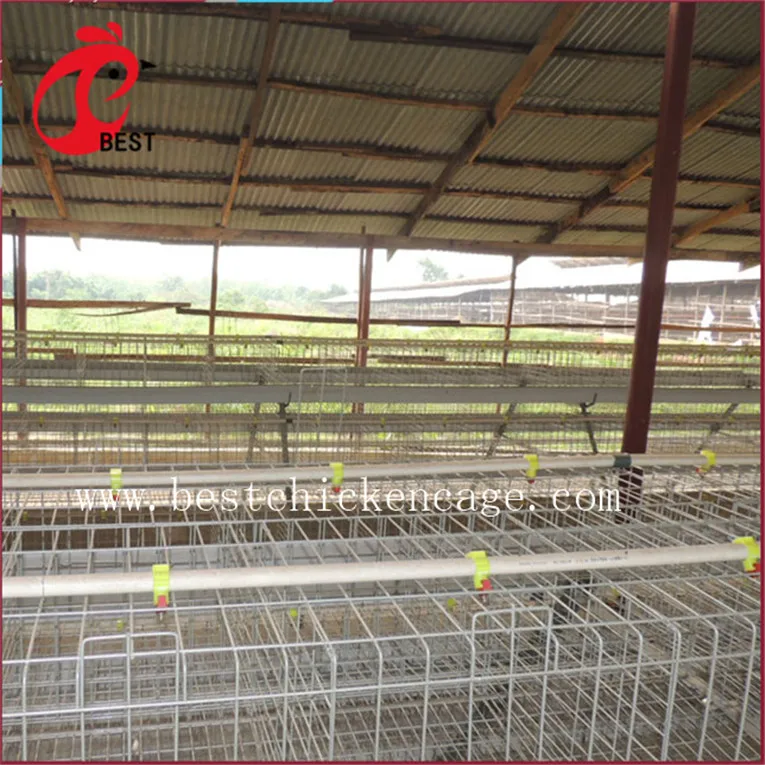 Лидер продаж клетка для кур hebei broiler 5 ярусов 200 птиц несущих автоматическая оптовых