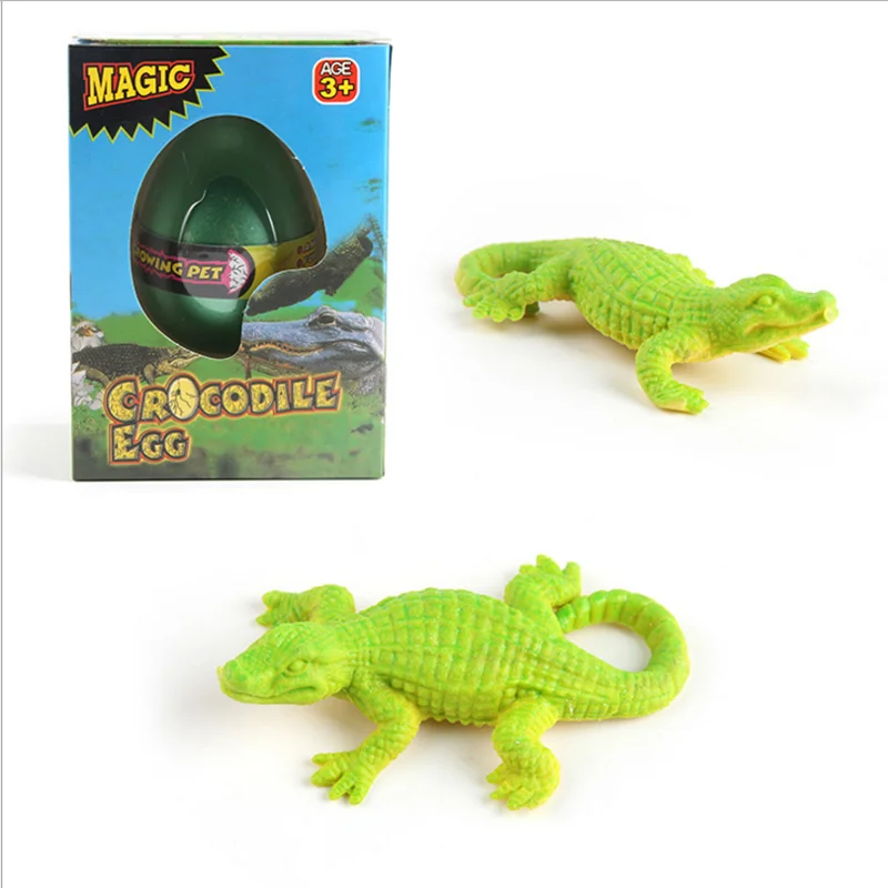 Hot Sale Factory Supply Hatching Crocodile Egg