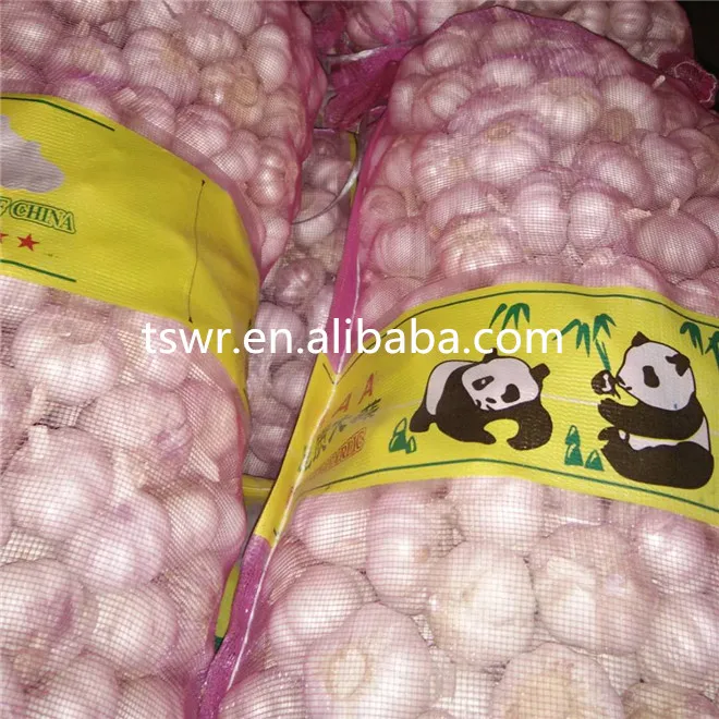 
high quality fresh gralic best price garlic white garlic 