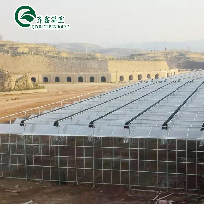 Used Venlo Garden Glass Greenhouse Galvanized Frames For Sale