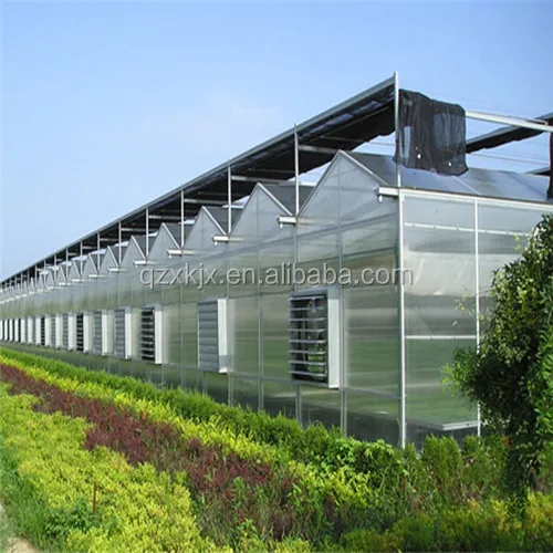 High quality low price green house polycarbonate greenhouse kit agriculture for sale