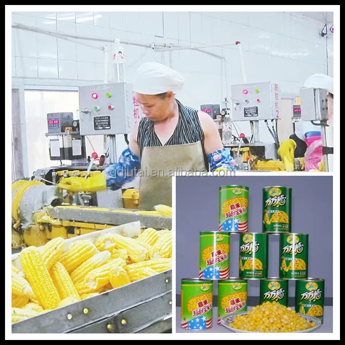 IQF консервированные сладкие кукурузные зерна для хорошего здоровья