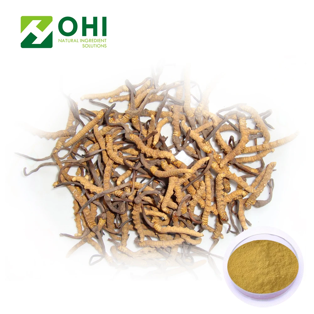 UV-VIS 20% 40% 50% Polysacharides Cordyceps Sinensis Extract GMP certificated factory Mycelium extract